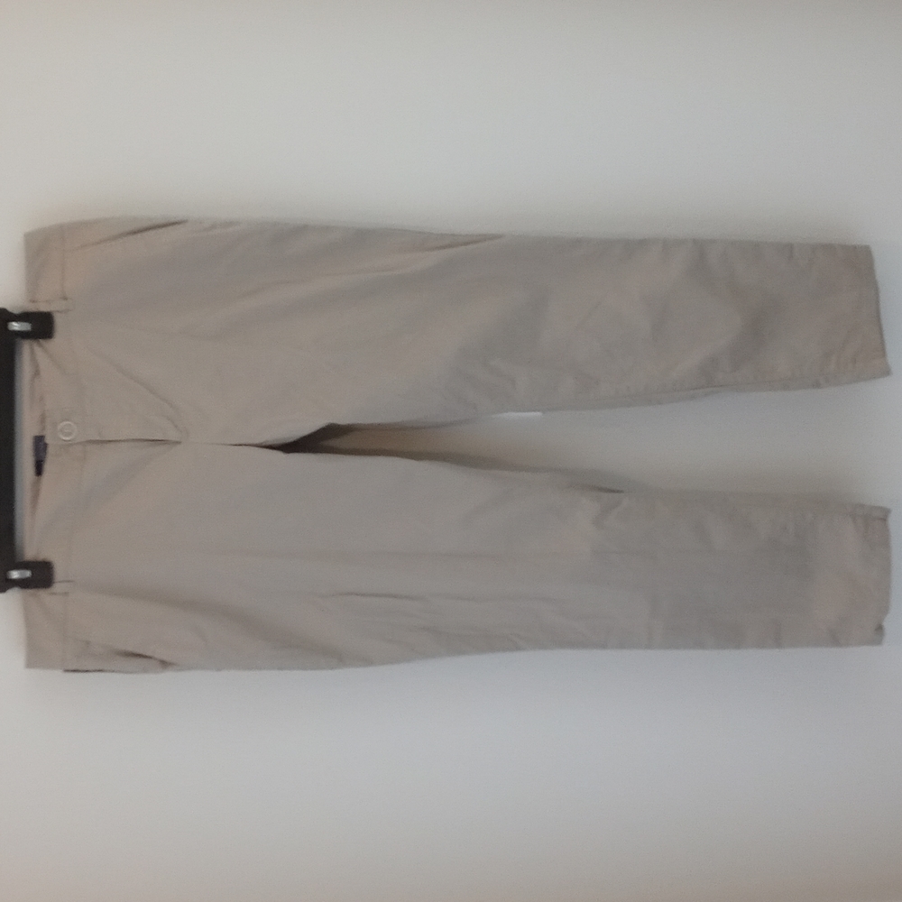 THE Limited pants
